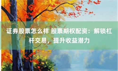 证券股票怎么样 股票期权配资：解锁杠杆交易，提升收益潜力