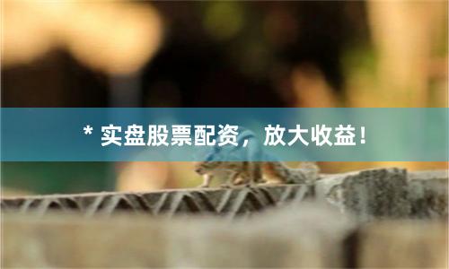 * 实盘股票配资，放大收益！