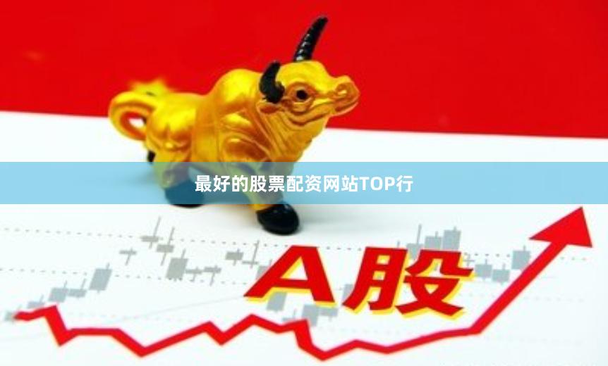 最好的股票配资网站TOP行