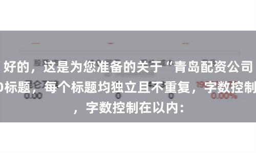 好的，这是为您准备的关于“青岛配资公司”的SEO标题，每个标题均独立且不重复，字数控制在以内：